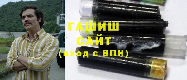 крисы Бородино