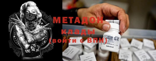 крисы Бородино