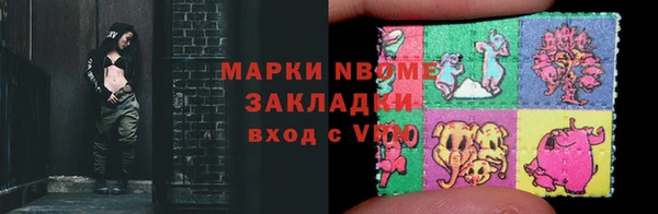 крисы Бородино