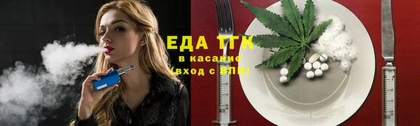 крисы Бородино