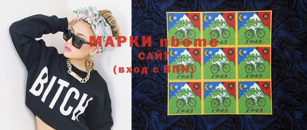 крисы Бородино
