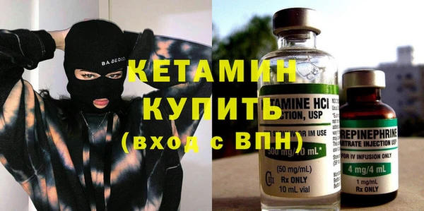 крисы Бородино