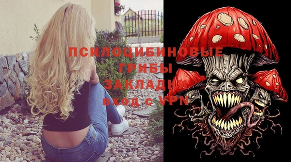 соль ск Бронницы