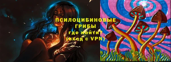соль ск Бронницы