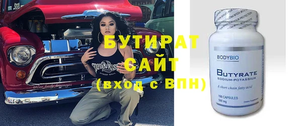 крисы Бородино
