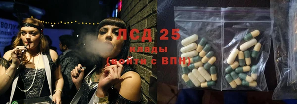 крисы Бородино