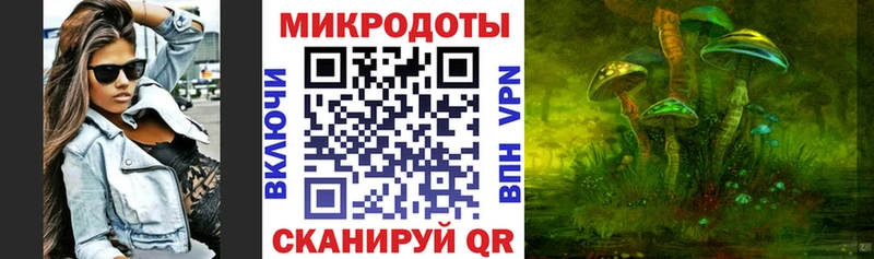 Галлюциногенные грибы Psilocybine cubensis  Купить  Невельск 