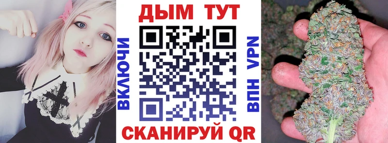 Бошки Шишки гибрид  Купить закладки  Невельск 